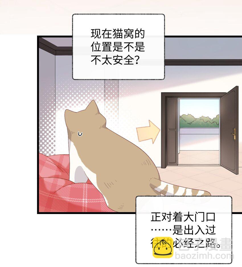 《加菲猫复仇记》008 白白胖胖，充满希望 第16页