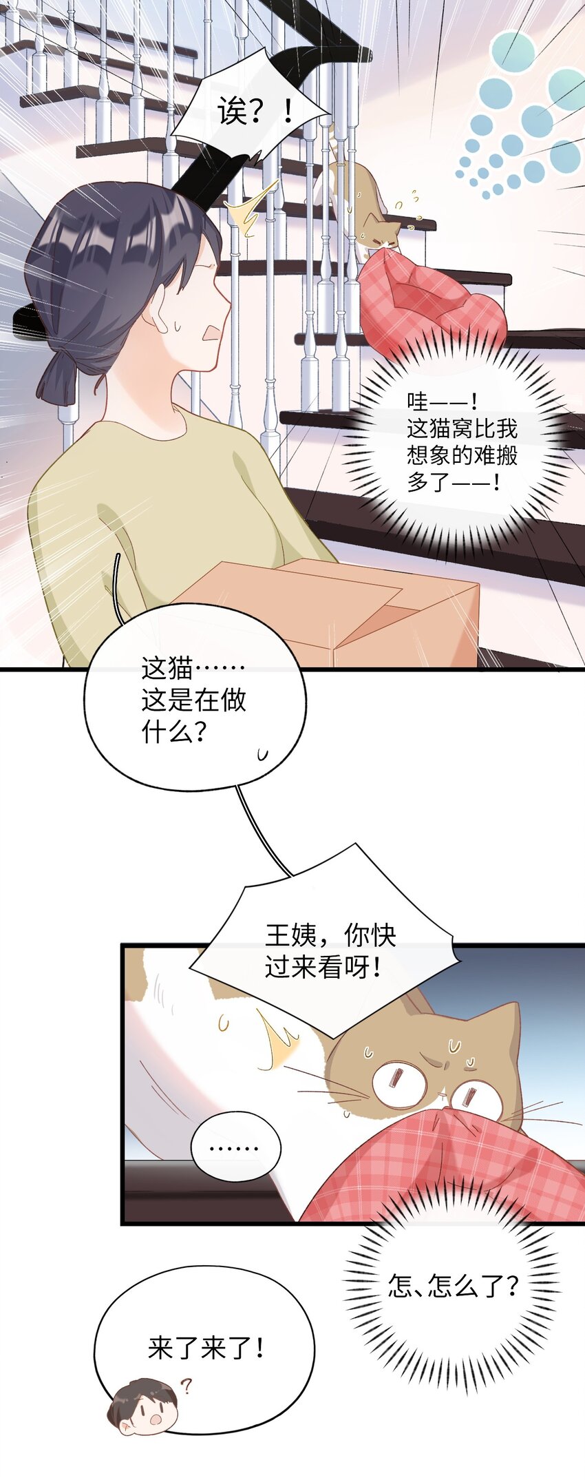 《加菲猫复仇记》008 白白胖胖，充满希望 第20页