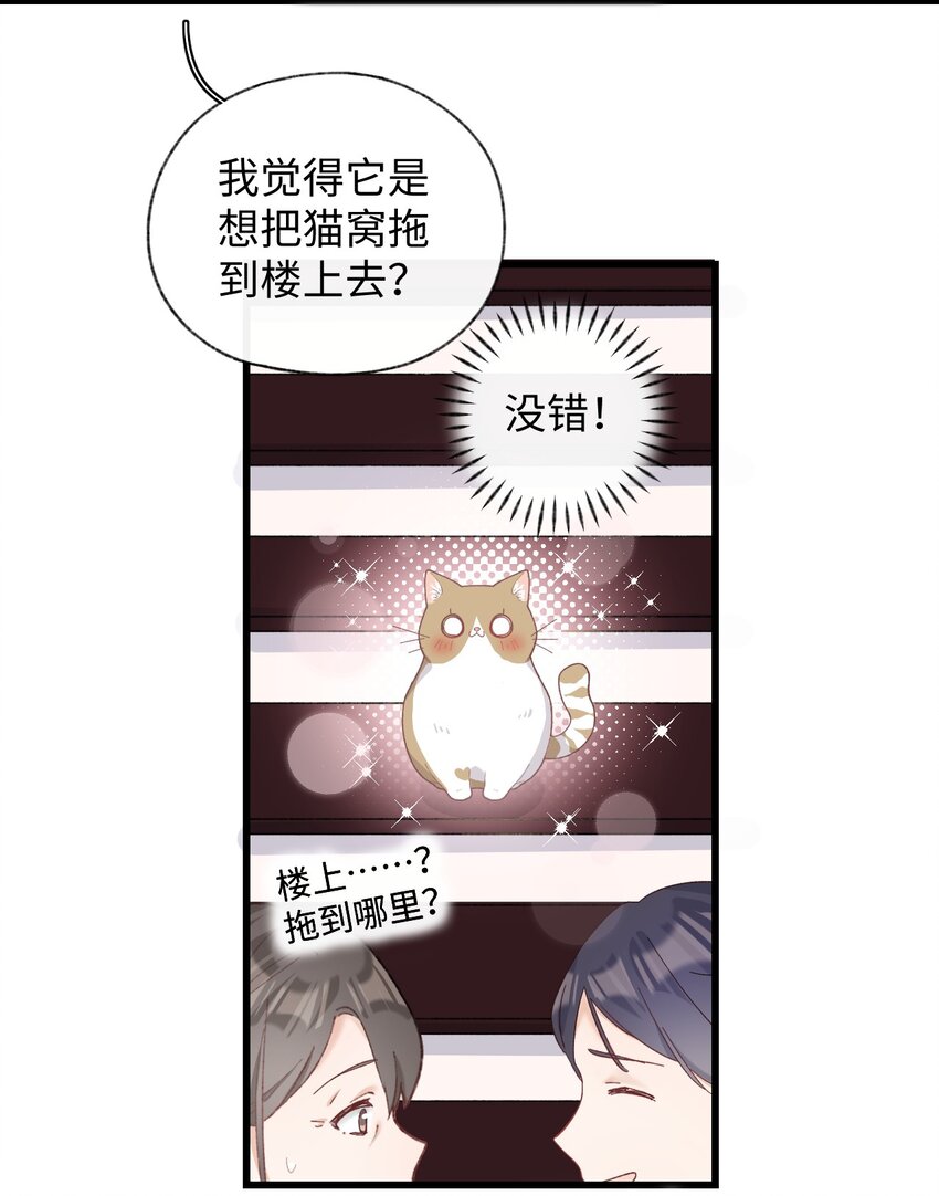 《加菲猫复仇记》008 白白胖胖，充满希望 第22页