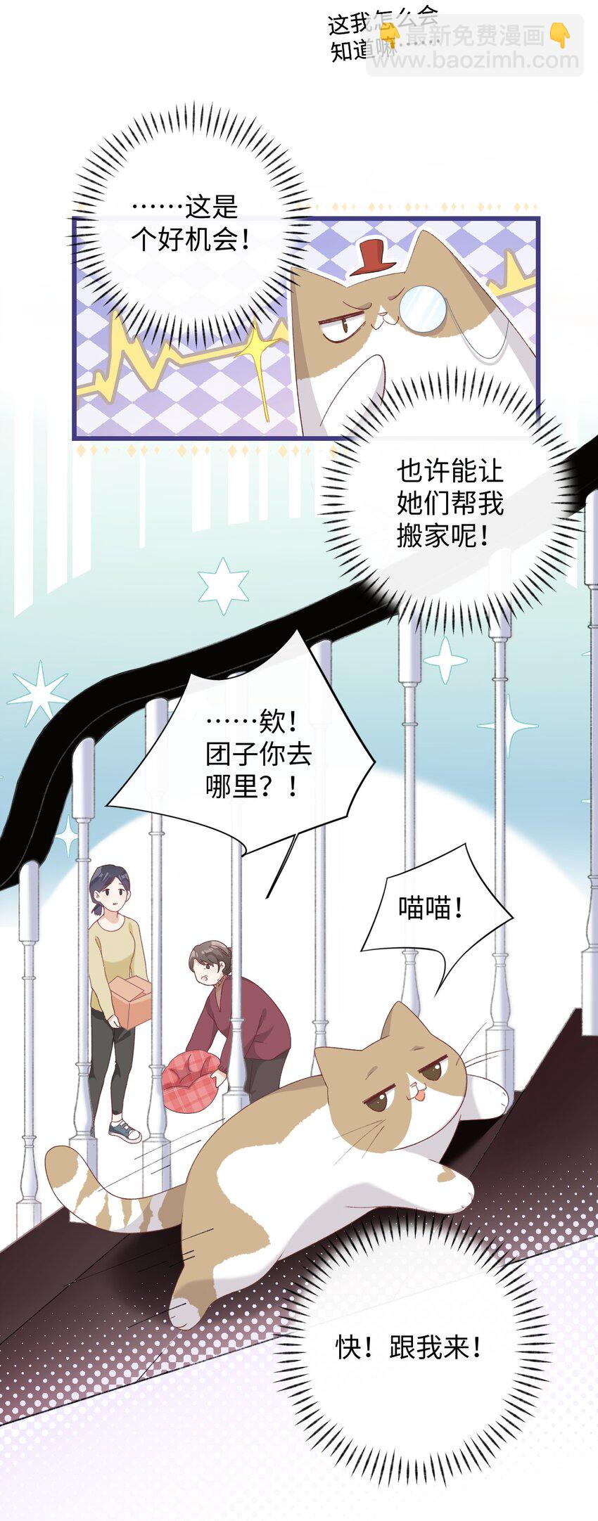 《加菲猫复仇记》008 白白胖胖，充满希望 第23页