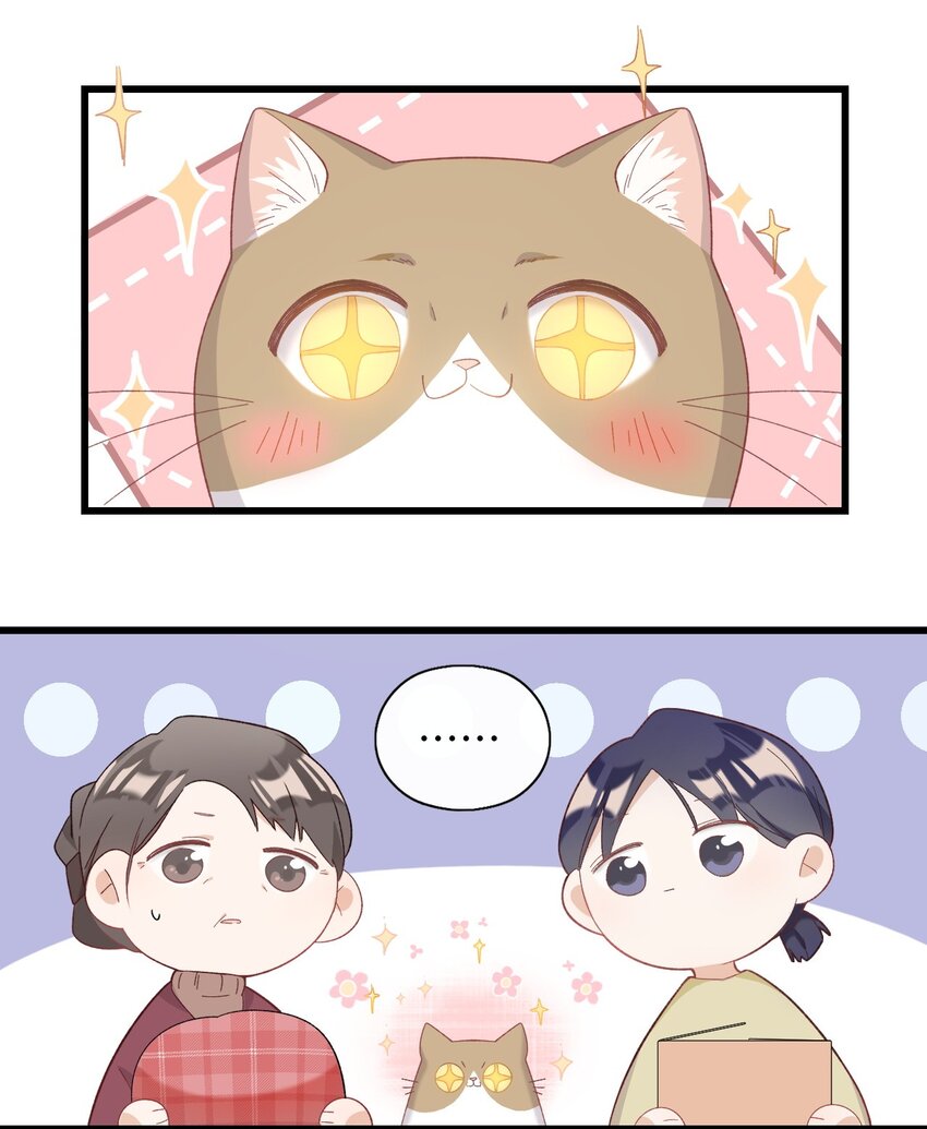 《加菲猫复仇记》008 白白胖胖，充满希望 第26页