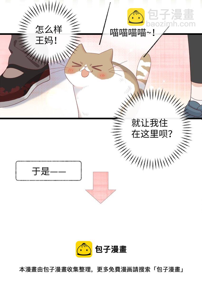 《加菲猫复仇记》008 白白胖胖，充满希望 第29页