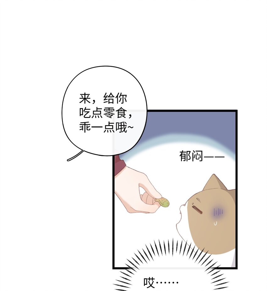 《加菲猫复仇记》008 白白胖胖，充满希望 第31页
