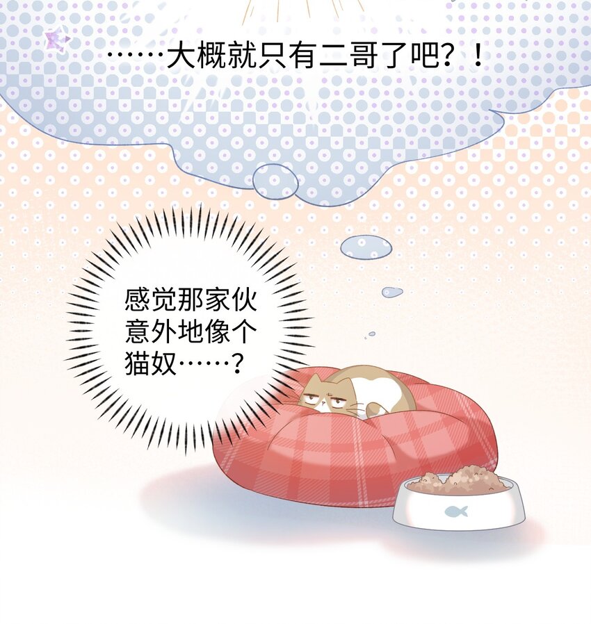 《加菲猫复仇记》008 白白胖胖，充满希望 第35页
