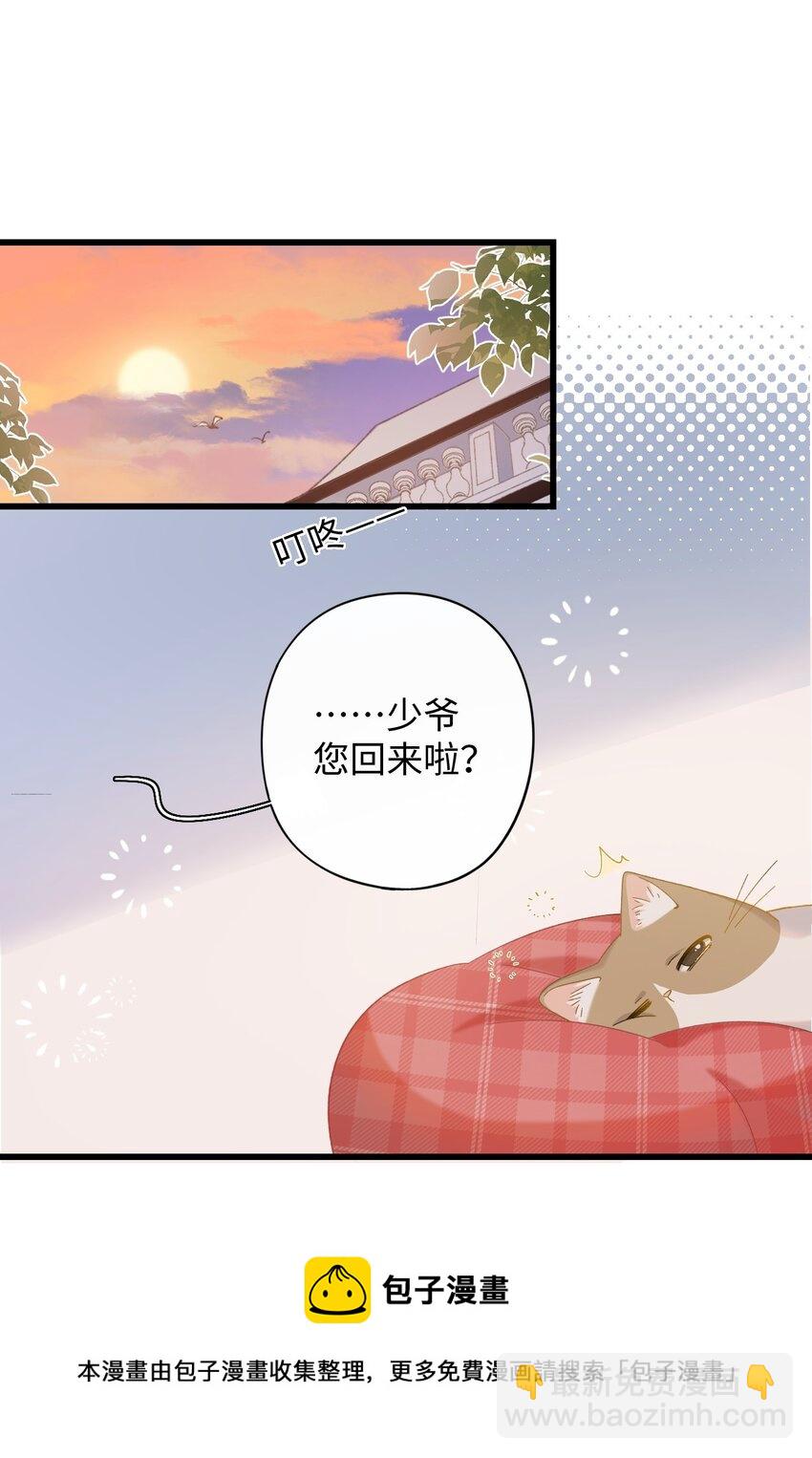 《加菲猫复仇记》008 白白胖胖，充满希望 第37页