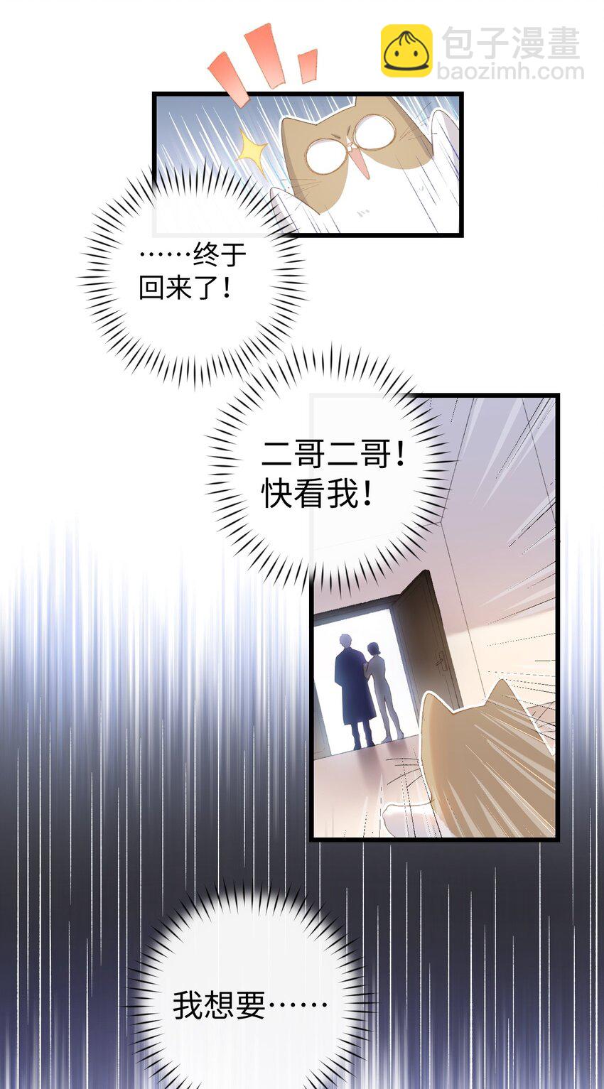 《加菲猫复仇记》008 白白胖胖，充满希望 第38页