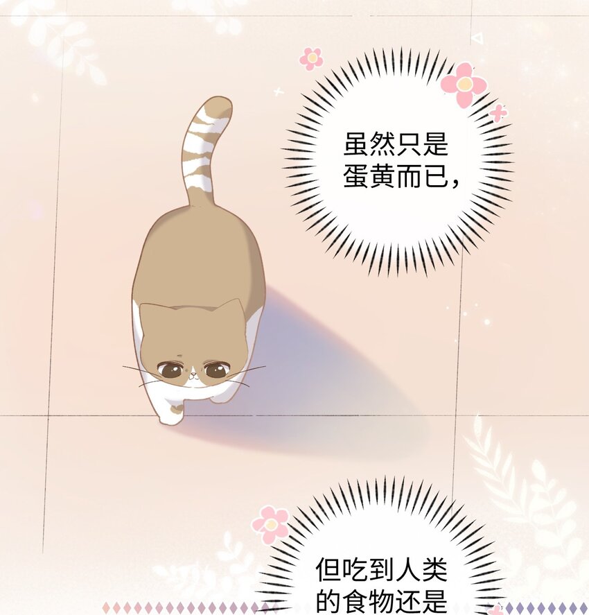 《加菲猫复仇记》008 白白胖胖，充满希望 第3页