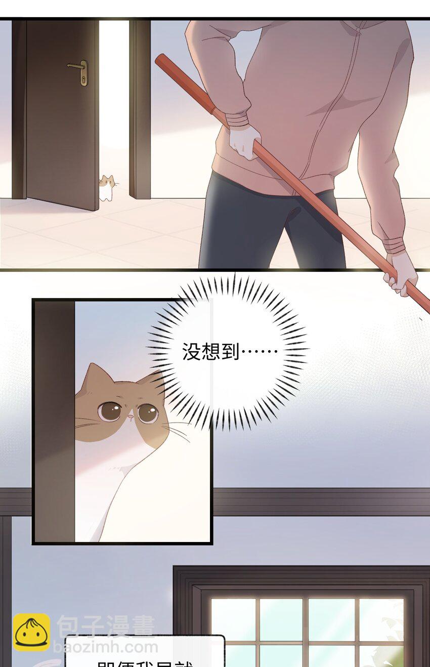 《加菲猫复仇记》008 白白胖胖，充满希望 第7页