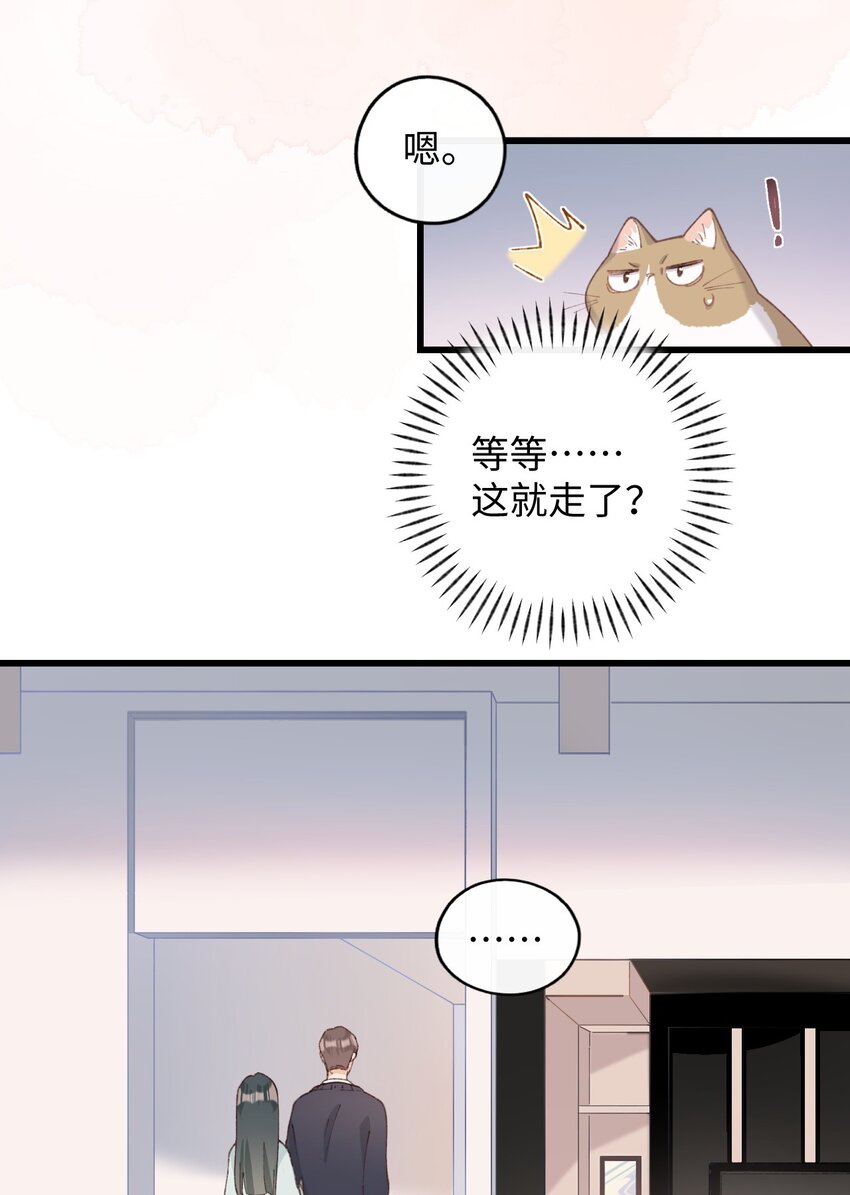 《加菲猫复仇记》009 猫猫翻大车 第14页