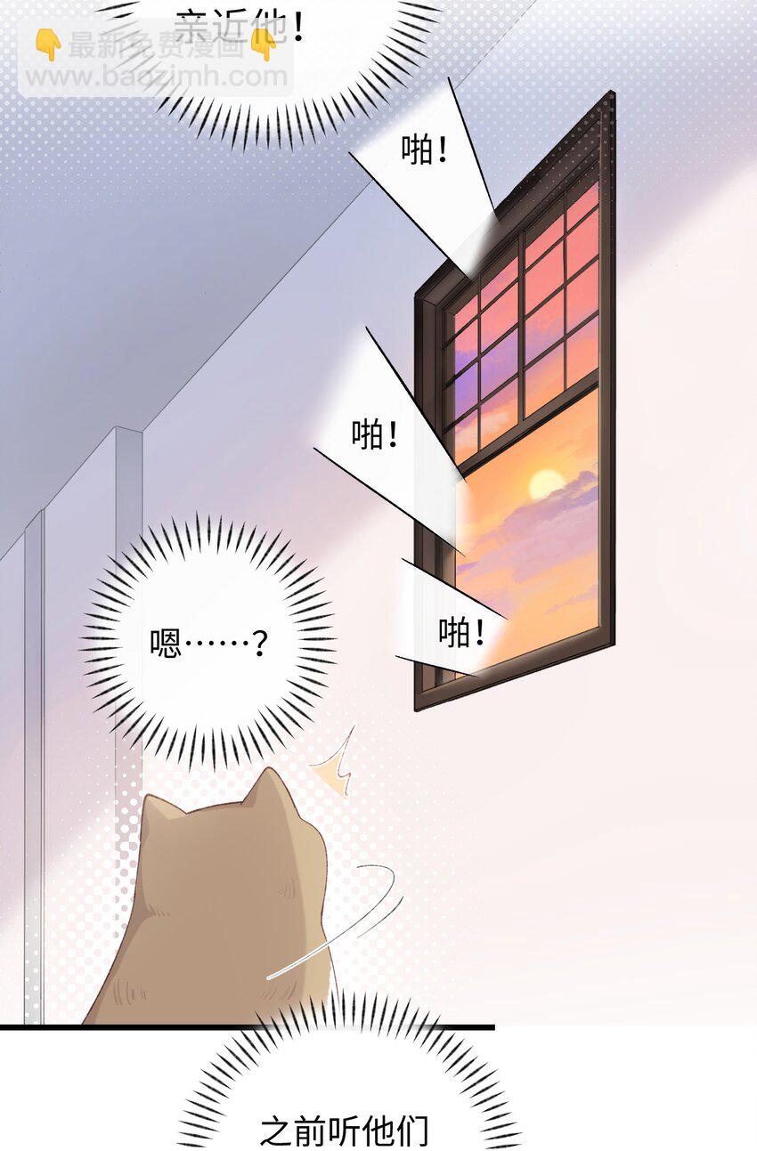 《加菲猫复仇记》009 猫猫翻大车 第19页