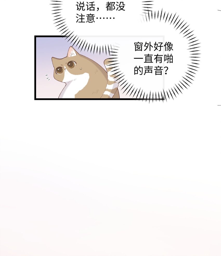 《加菲猫复仇记》009 猫猫翻大车 第20页