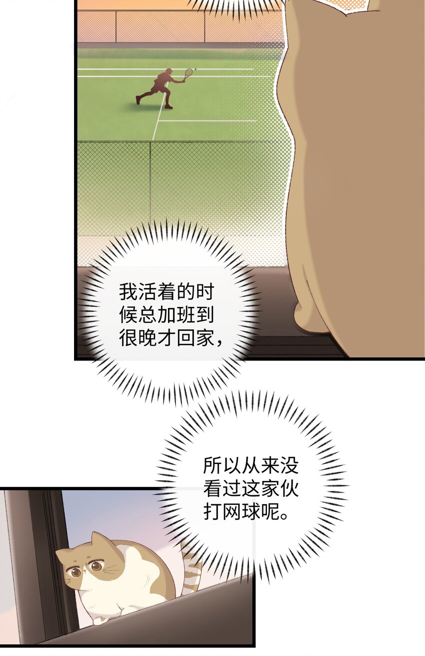 《加菲猫复仇记》009 猫猫翻大车 第24页
