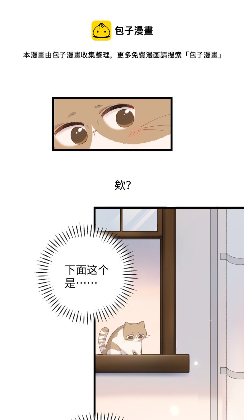 《加菲猫复仇记》009 猫猫翻大车 第25页