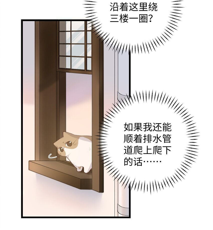 《加菲猫复仇记》009 猫猫翻大车 第27页