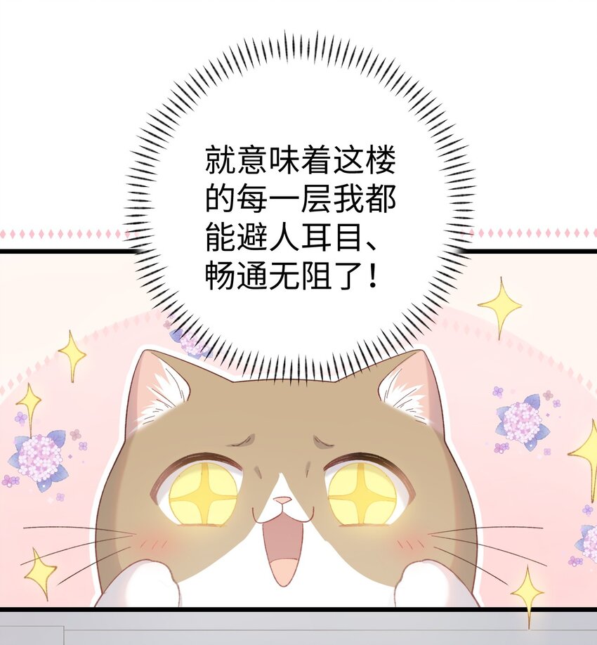 《加菲猫复仇记》009 猫猫翻大车 第28页