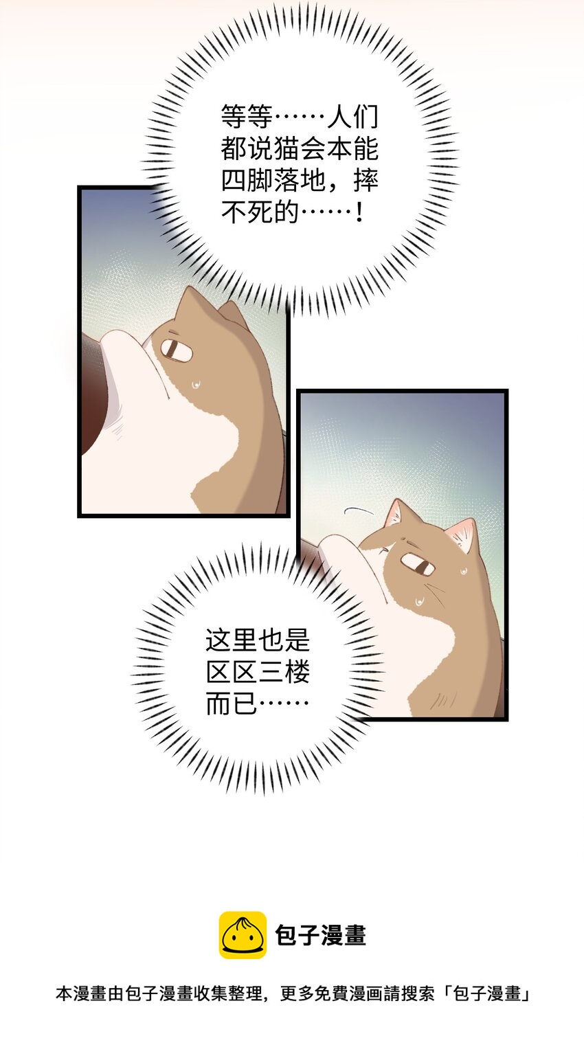 《加菲猫复仇记》009 猫猫翻大车 第37页