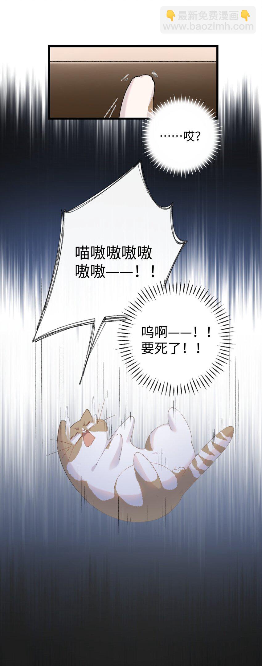 《加菲猫复仇记》009 猫猫翻大车 第39页