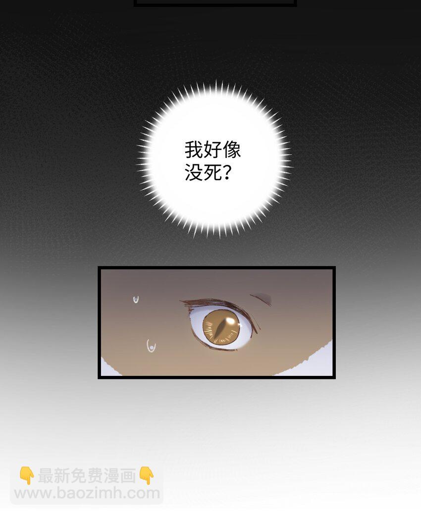 《加菲猫复仇记》009 猫猫翻大车 第42页