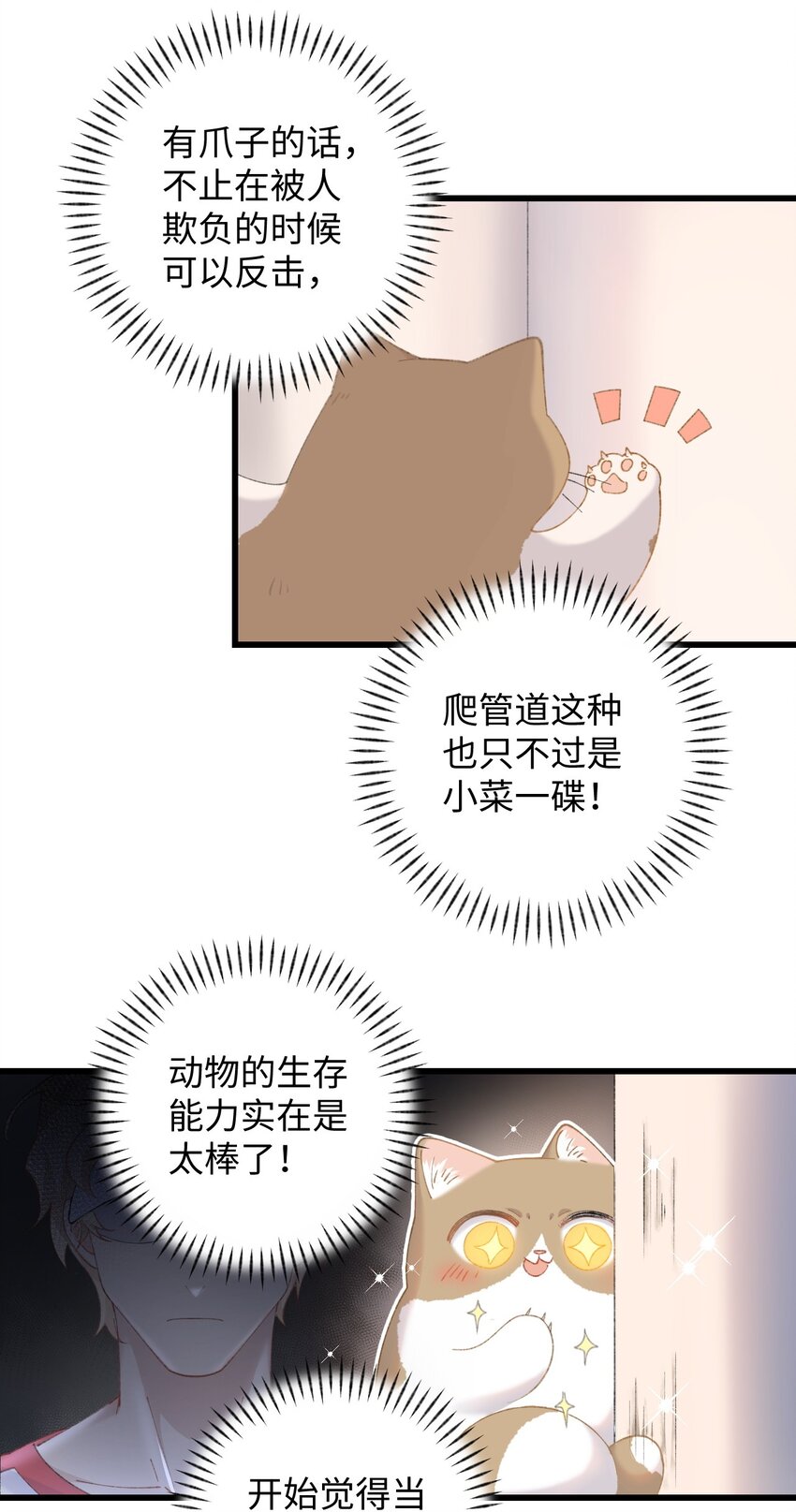 《加菲猫复仇记》009 猫猫翻大车 第44页