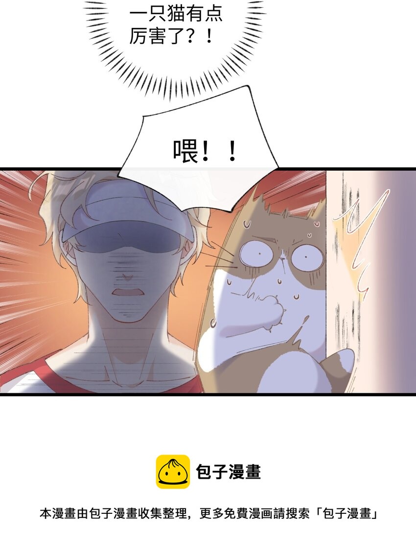 《加菲猫复仇记》009 猫猫翻大车 第45页