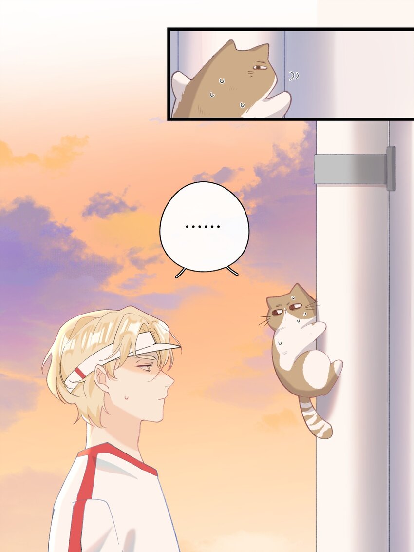 《加菲猫复仇记》009 猫猫翻大车 第46页