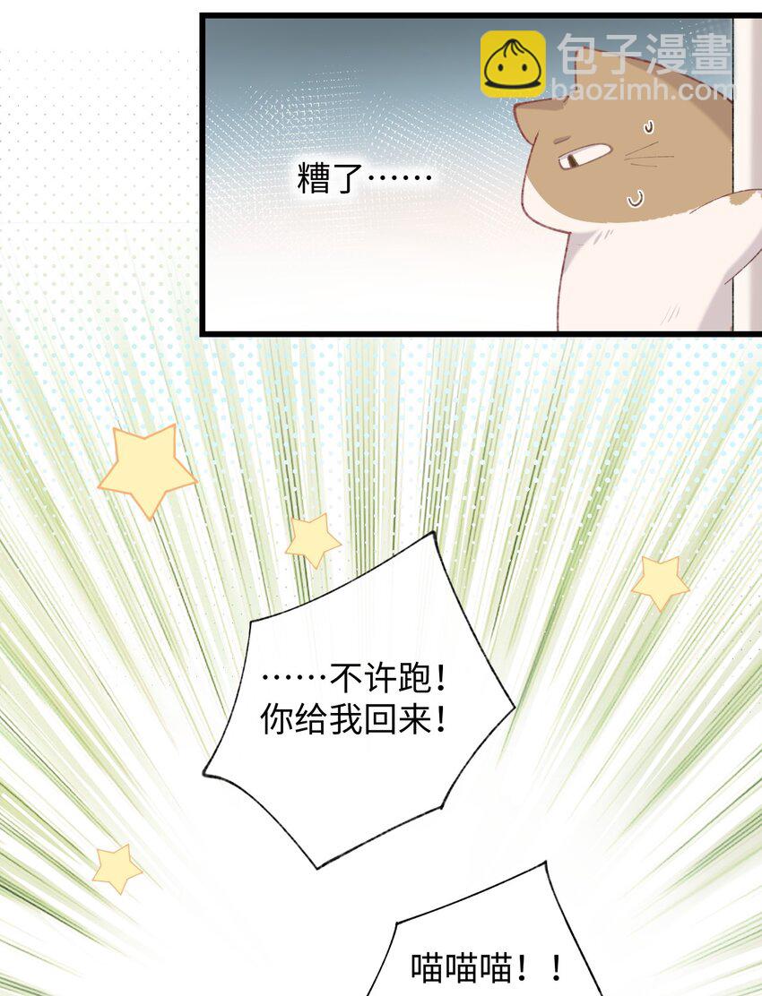 《加菲猫复仇记》009 猫猫翻大车 第48页
