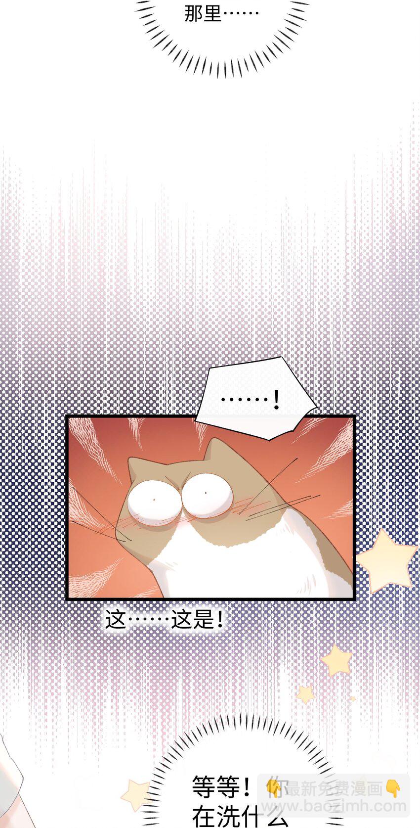 《加菲猫复仇记》011 勐男盘蛋 第13页