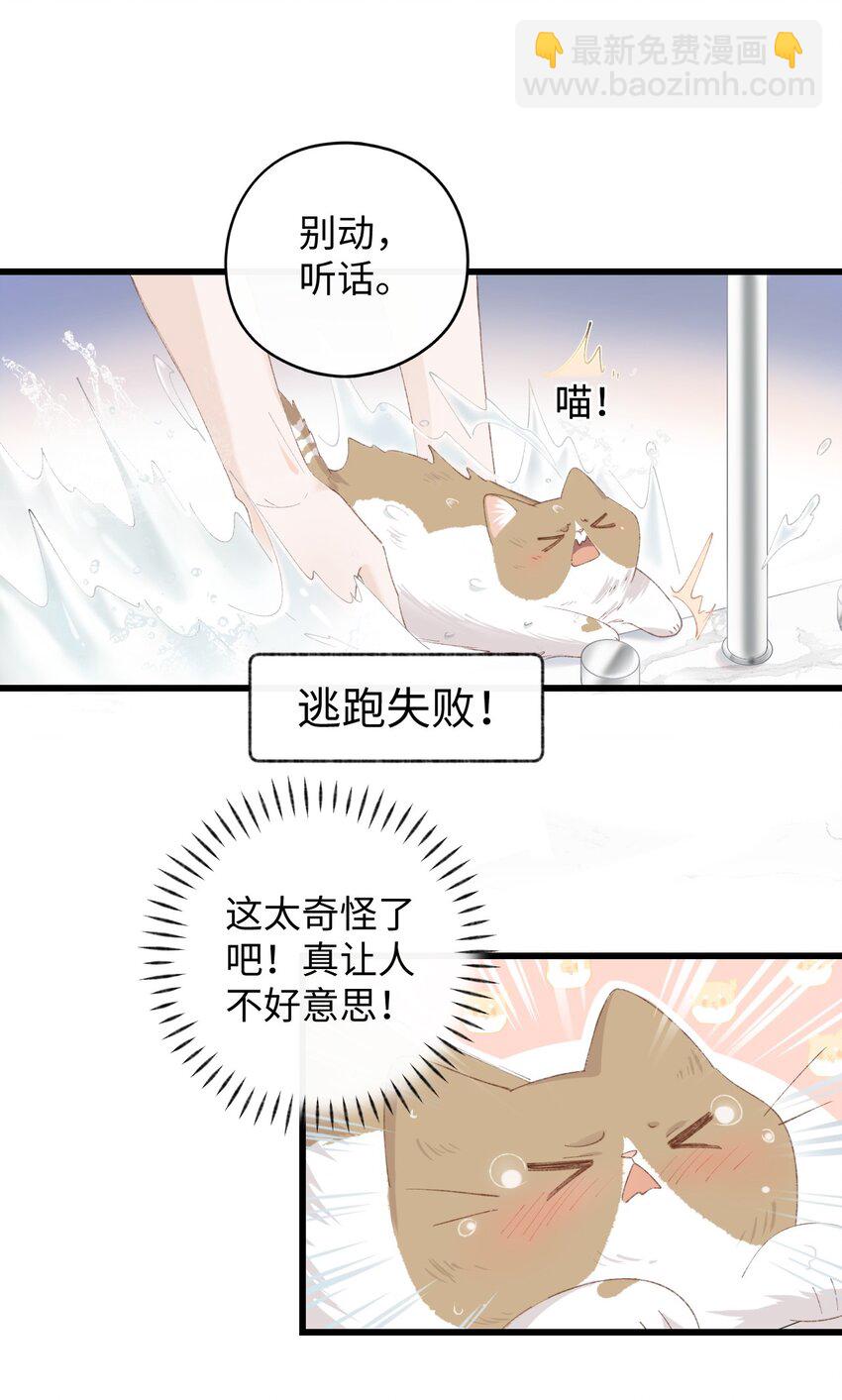 《加菲猫复仇记》011 勐男盘蛋 第15页