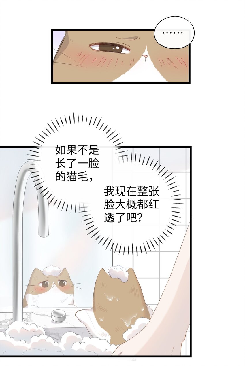 《加菲猫复仇记》011 勐男盘蛋 第16页