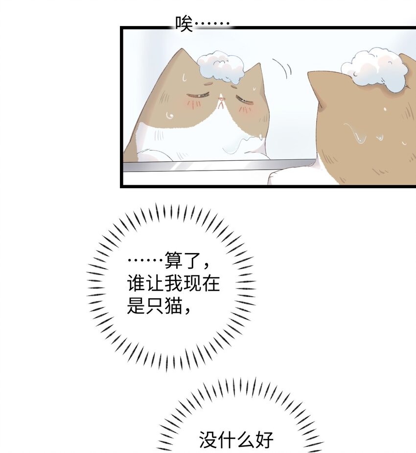 《加菲猫复仇记》011 勐男盘蛋 第17页