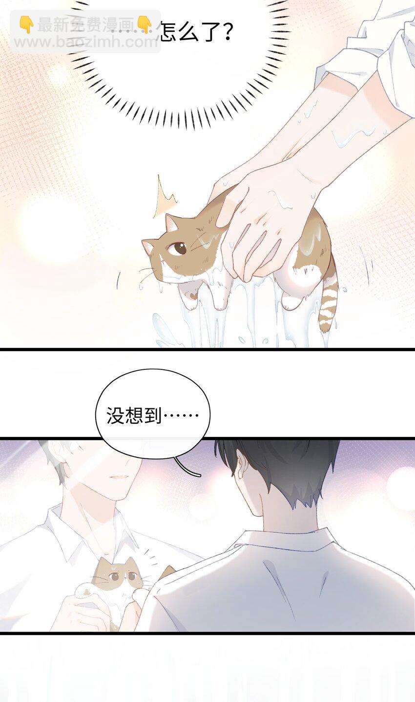 《加菲猫复仇记》011 勐男盘蛋 第19页