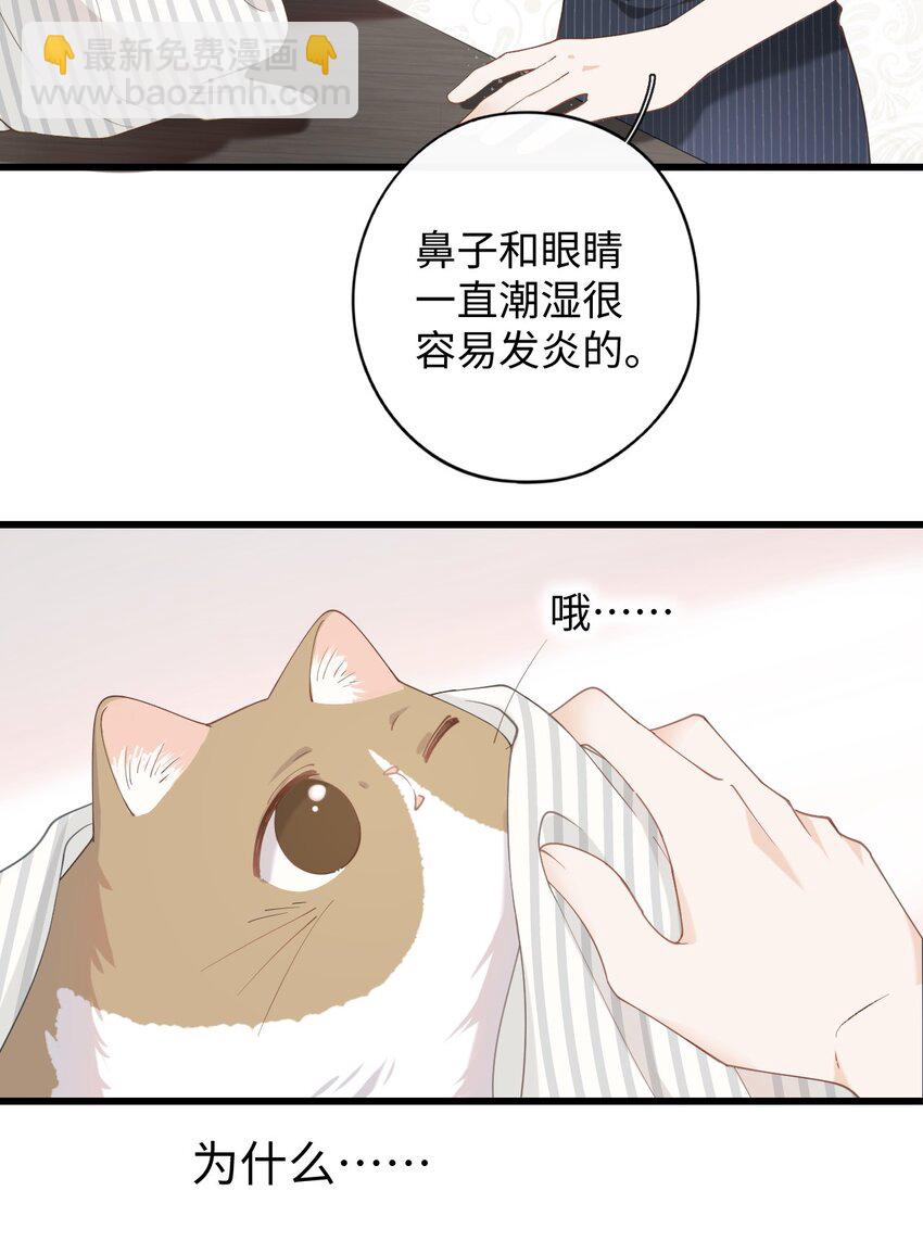 《加菲猫复仇记》011 勐男盘蛋 第36页