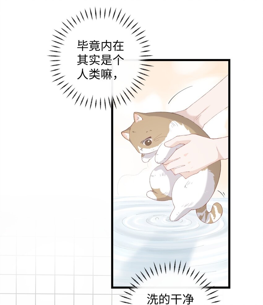 《加菲猫复仇记》011 勐男盘蛋 第5页