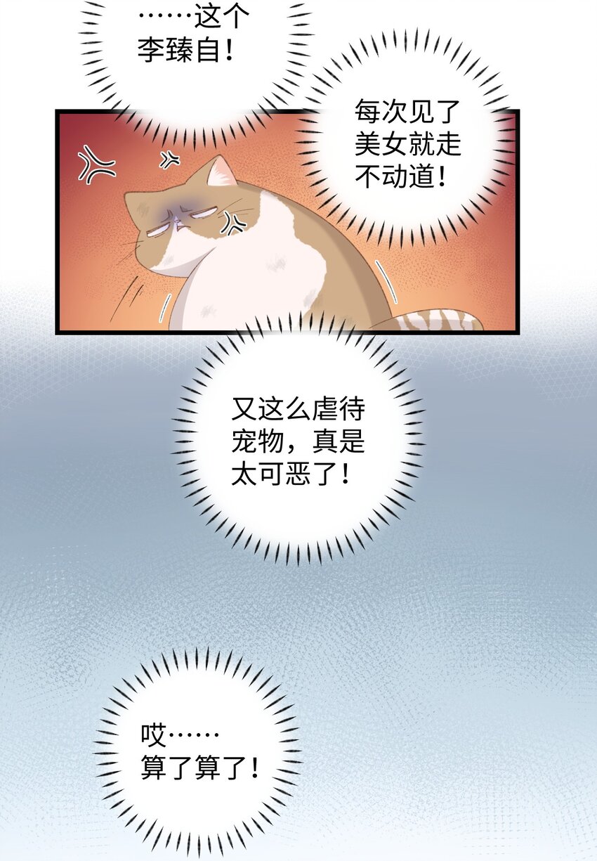 《加菲猫复仇记》10 脏脏猫计划通 第12页