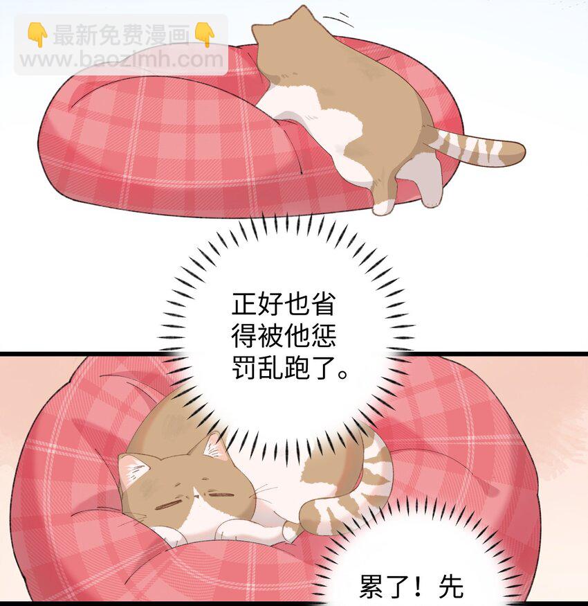 《加菲猫复仇记》10 脏脏猫计划通 第13页
