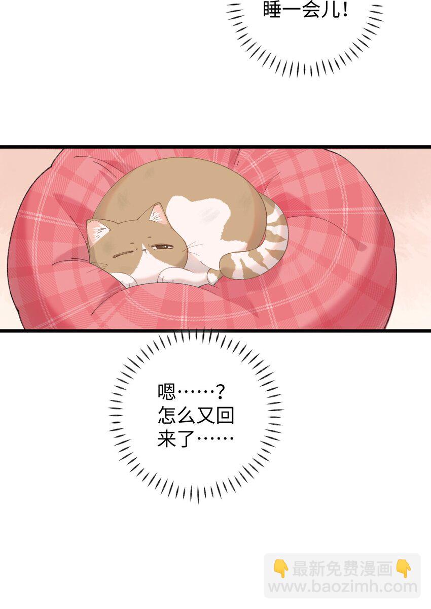 《加菲猫复仇记》10 脏脏猫计划通 第14页