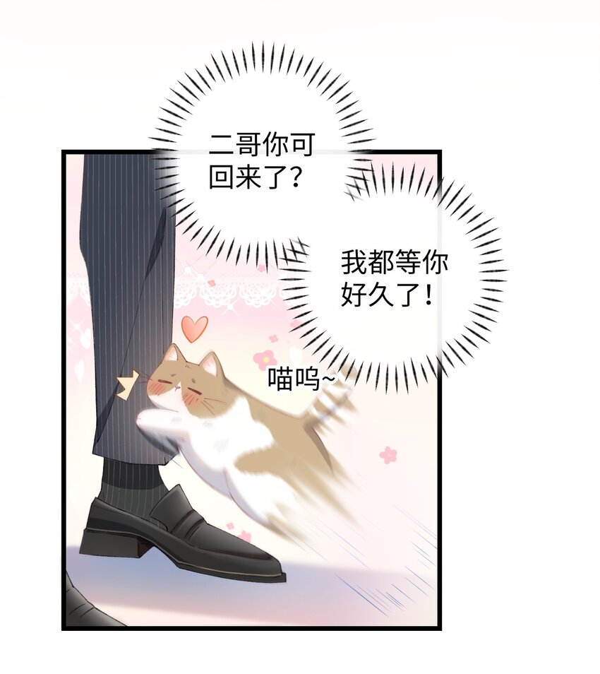 《加菲猫复仇记》10 脏脏猫计划通 第16页
