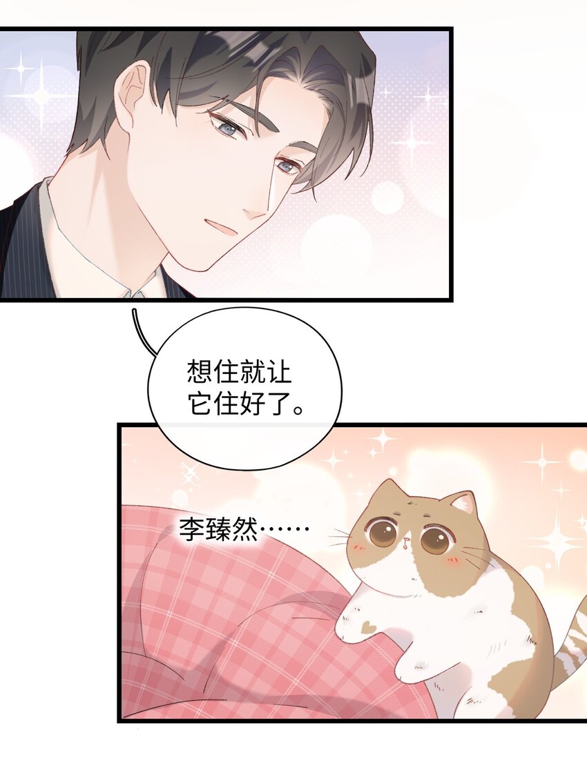 《加菲猫复仇记》10 脏脏猫计划通 第27页