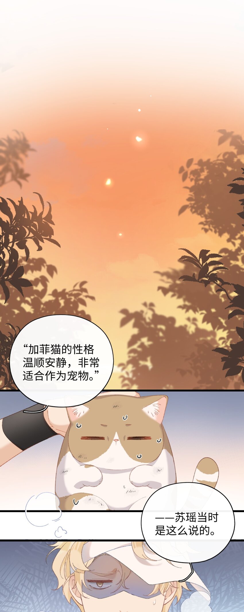 《加菲猫复仇记》10 脏脏猫计划通 第2页