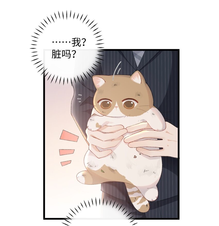 《加菲猫复仇记》10 脏脏猫计划通 第33页