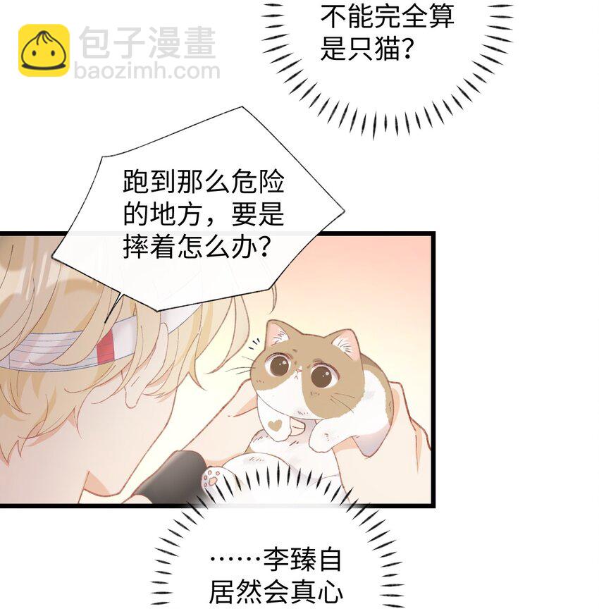 《加菲猫复仇记》10 脏脏猫计划通 第4页