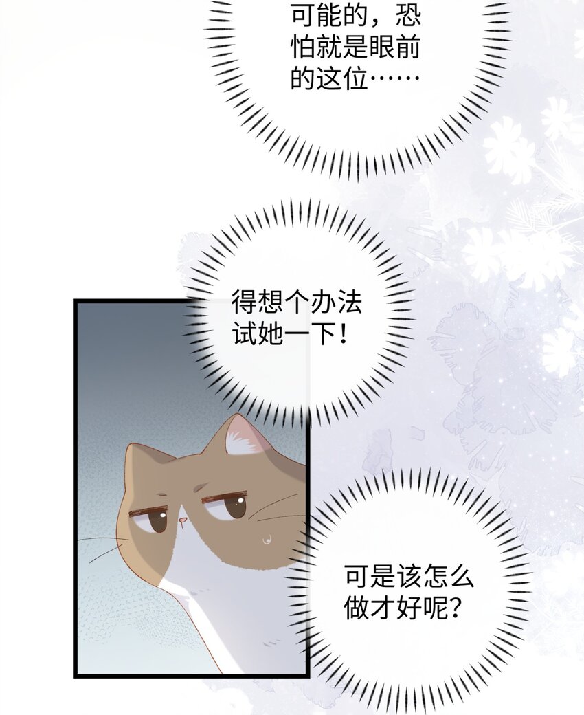 《加菲猫复仇记》012 关于李臻然似乎并不想找对象这件事/doge 第38页