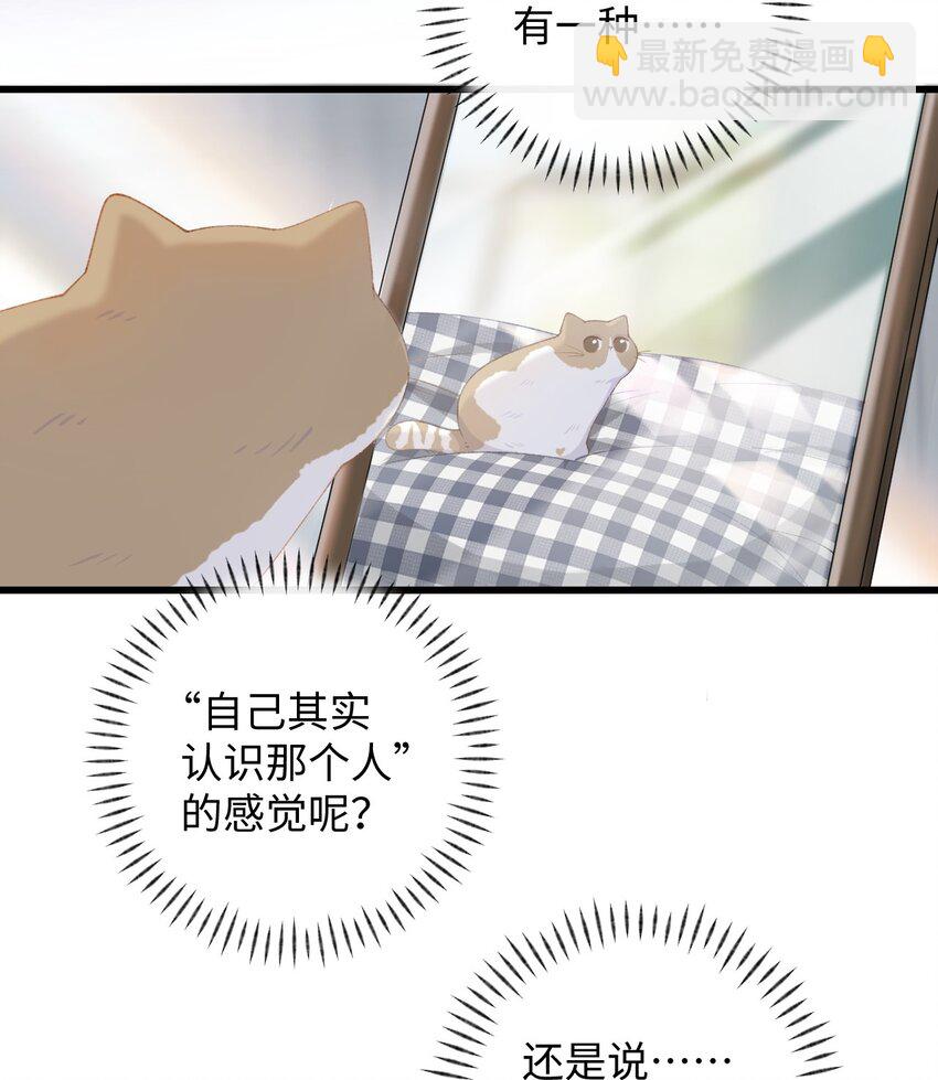 《加菲猫复仇记》012 关于李臻然似乎并不想找对象这件事/doge 第5页