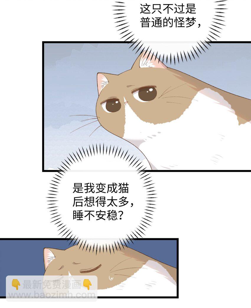 《加菲猫复仇记》012 关于李臻然似乎并不想找对象这件事/doge 第6页