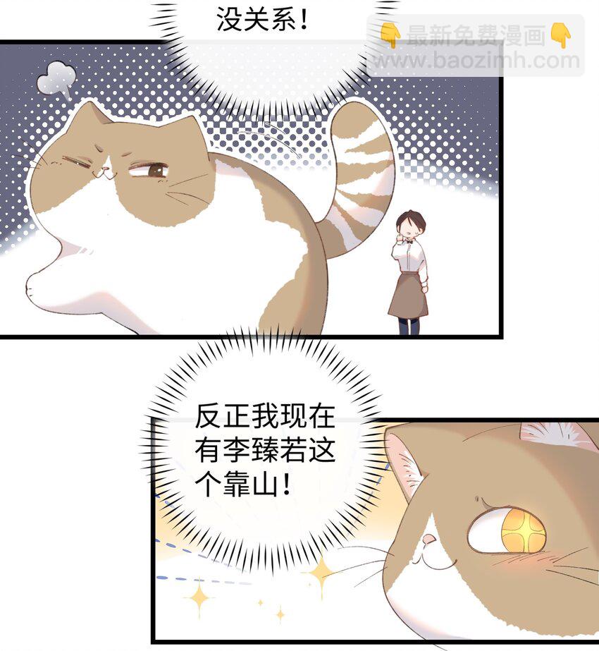 《加菲猫复仇记》013 你就陪我单身吧！ 第11页