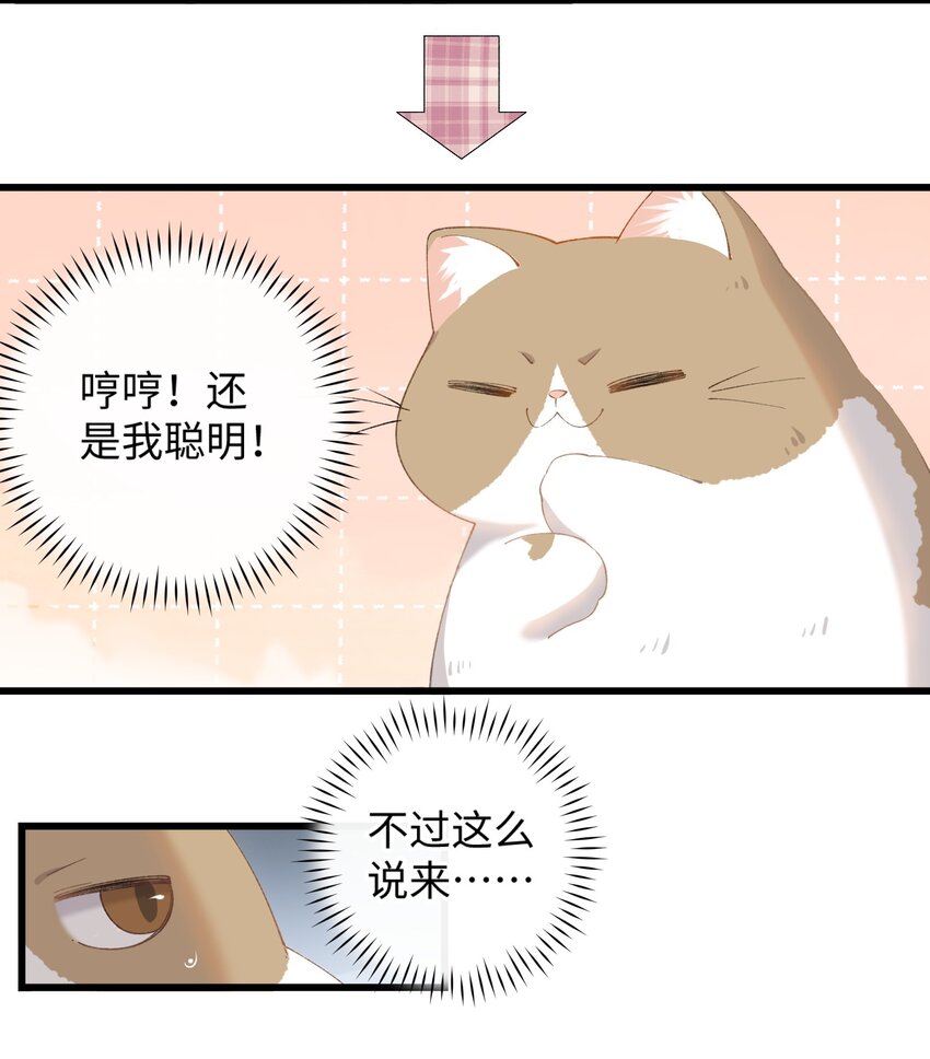 《加菲猫复仇记》013 你就陪我单身吧！ 第13页
