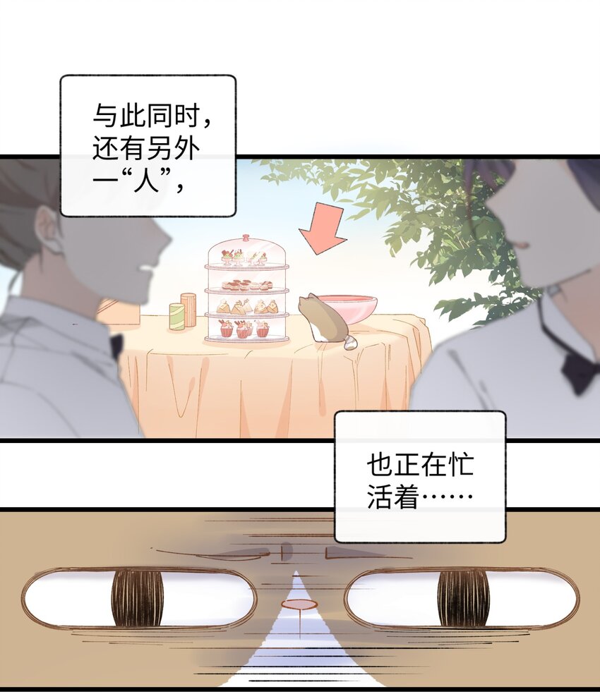 《加菲猫复仇记》013 你就陪我单身吧！ 第4页