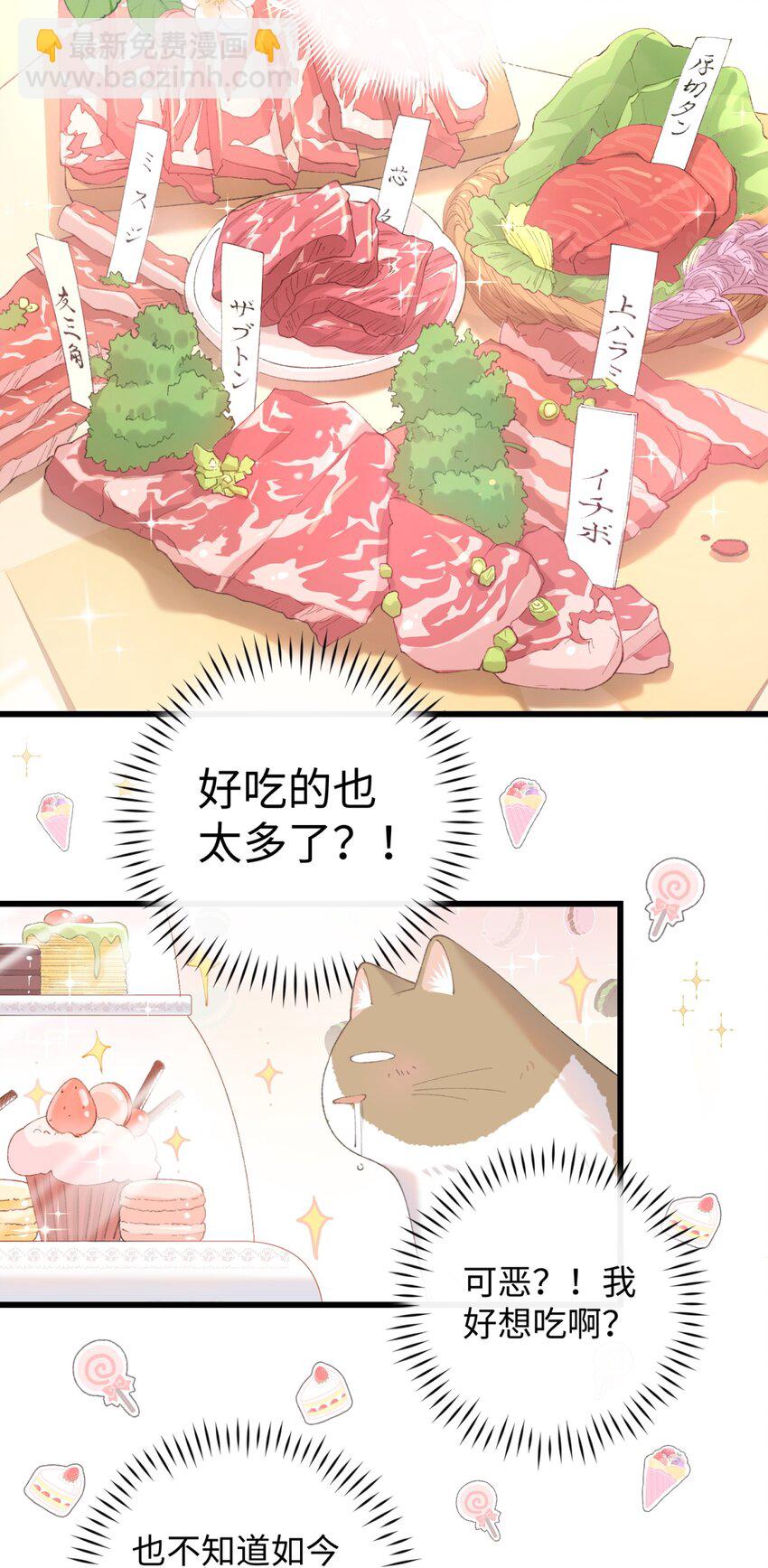 《加菲猫复仇记》013 你就陪我单身吧！ 第6页