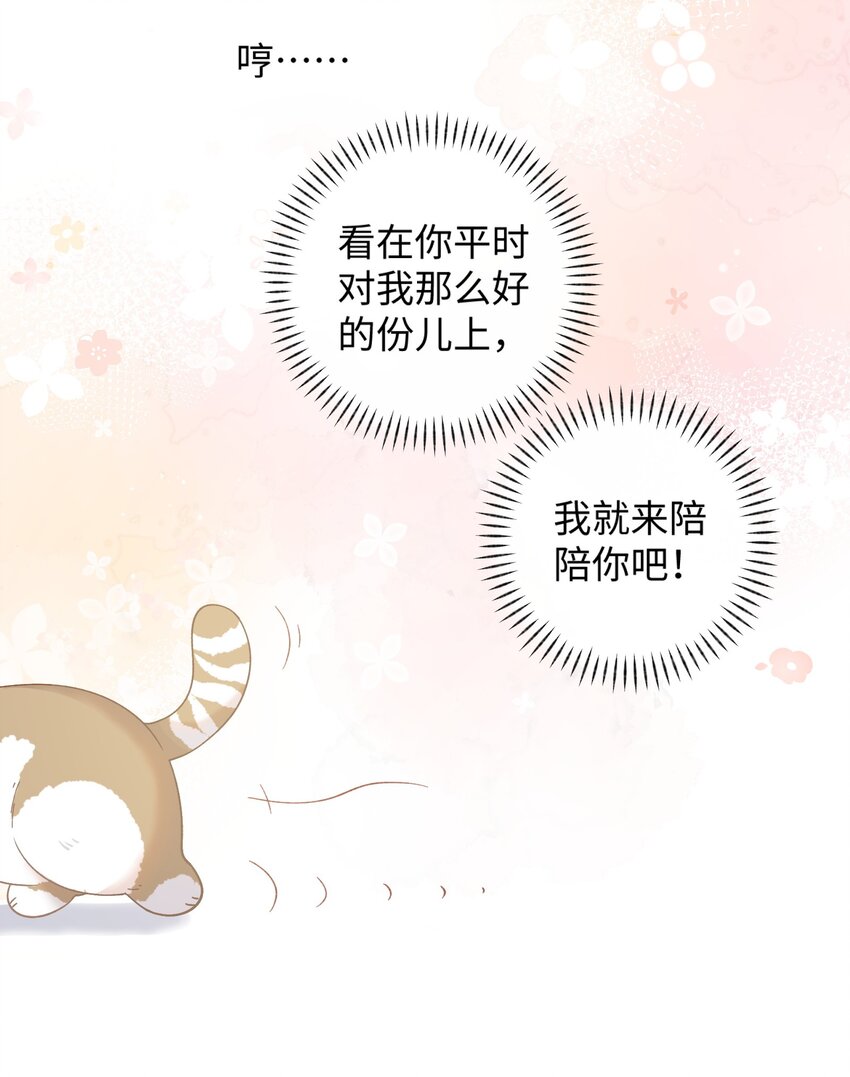 《加菲猫复仇记》014 躲开了！？？？ 第12页