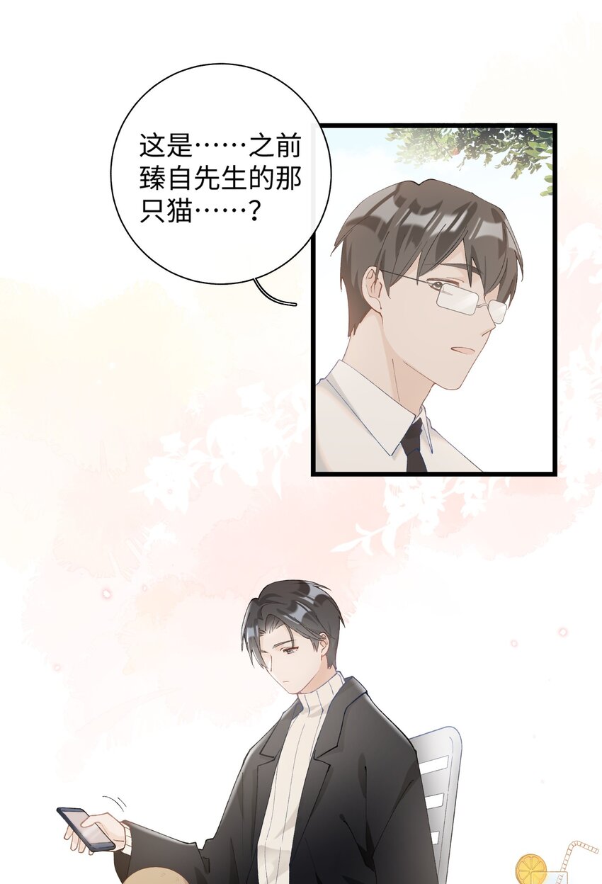 《加菲猫复仇记》014 躲开了！？？？ 第17页